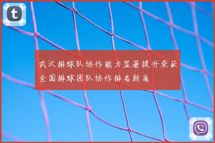 武汉排球队协作能力显著提升荣获全国排球团队协作排名新高