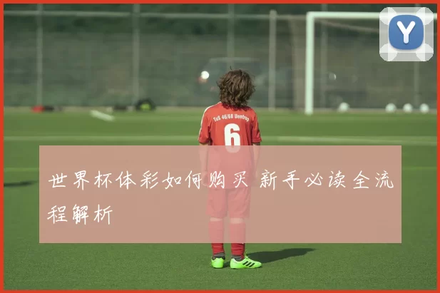 世界杯体彩如何购买 新手必读全流程解析