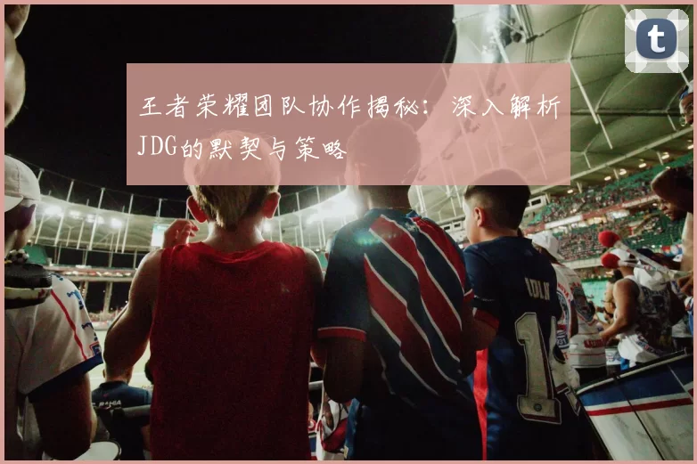 王者荣耀团队协作揭秘:深入解析JDG的默契与策略