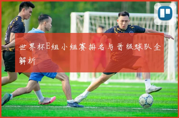 世界杯E组小组赛排名与晋级球队全解析