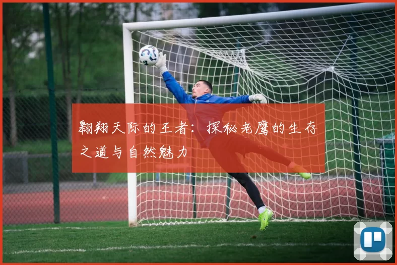 翱翔天际的王者:探秘老鹰的生存之道与自然魅力