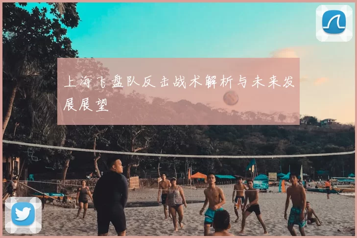 上海飞盘队反击战术解析与未来发展展望