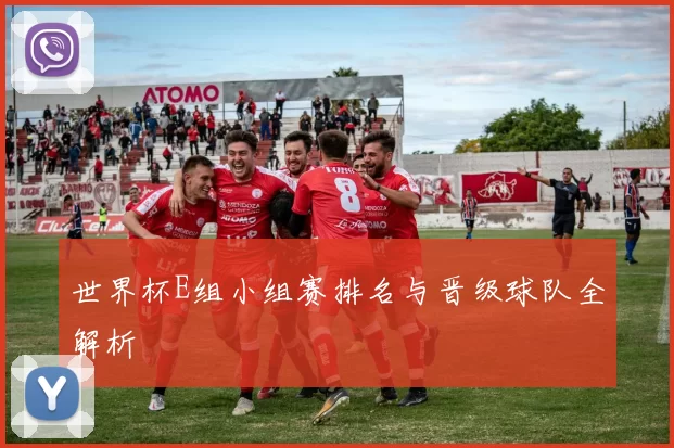 世界杯E组小组赛排名与晋级球队全解析