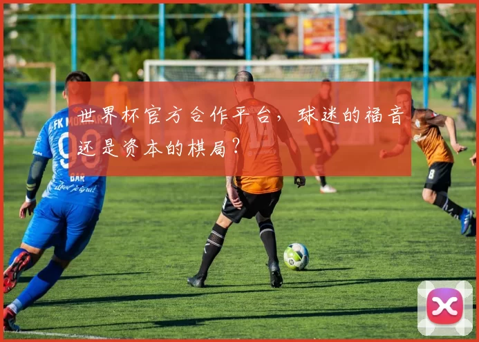 世界杯官方合作平台,球迷的福音还是资本的棋局?