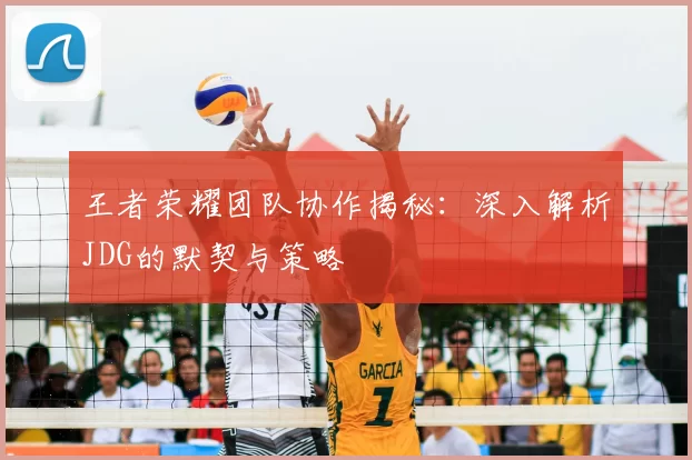 王者荣耀团队协作揭秘：深入解析JDG的默契与策略