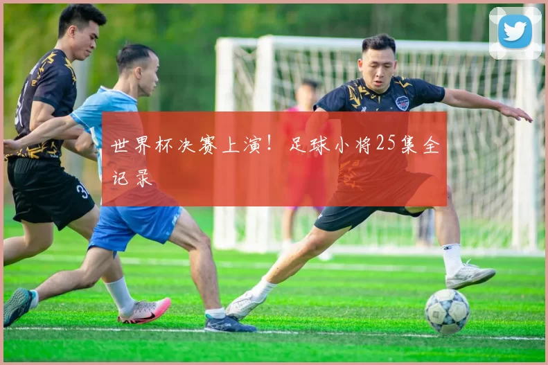 世界杯决赛上演!足球小将25集全记录