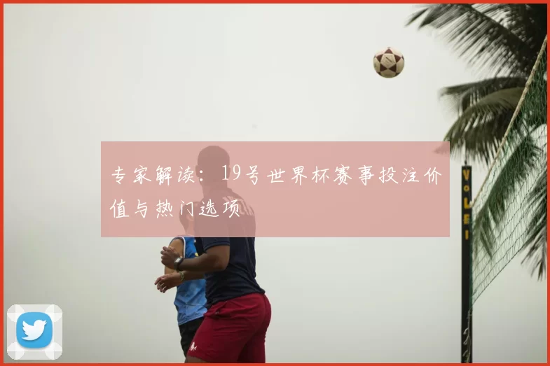 专家解读:19号世界杯赛事投注价值与热门选项
