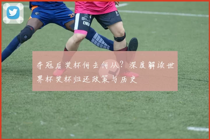 夺冠后奖杯何去何从？深度解读世界杯奖杯归还政策与历史