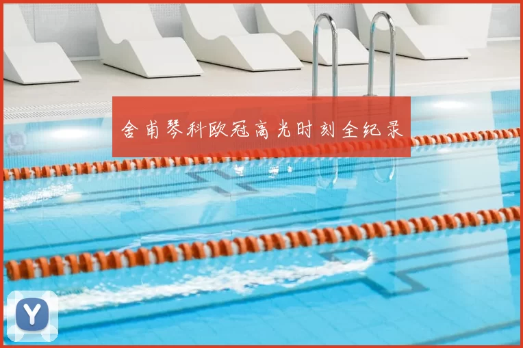 舍甫琴科欧冠高光时刻全纪录