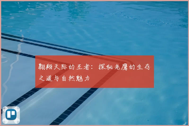 翱翔天际的王者：探秘老鹰的生存之道与自然魅力