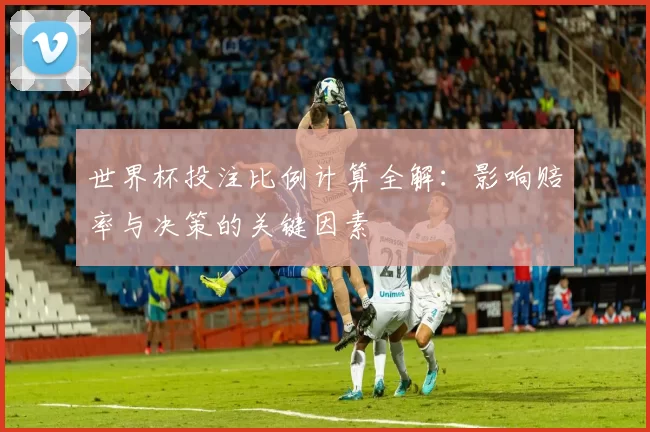 世界杯投注比例计算全解:影响赔率与决策的关键因素