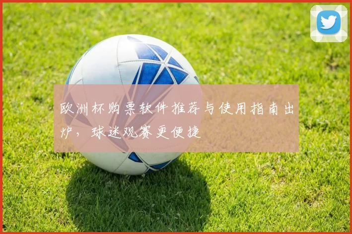 欧洲杯购票软件推荐与使用指南出炉,球迷观赛更便捷